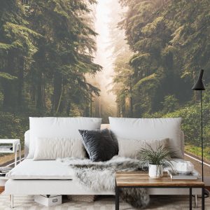 Papier Peint Route Dans Une Forêt Américaine – Image 3