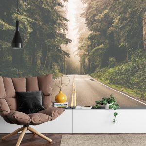 Papier Peint Route Dans Une Forêt Américaine – Image 4