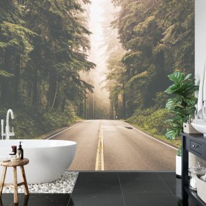 Papier Peint Route Dans Une Forêt Américaine – Image 5