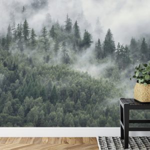 Papier Peint Forêt Dans La Brume Matinale – Image 7