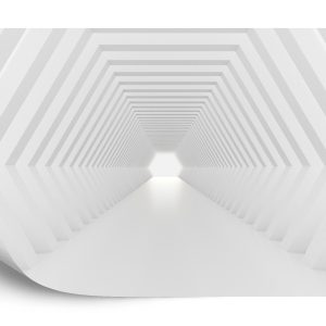 Papier Peint Forêt Dans Le Brouillard – Image 2