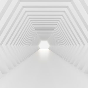 Papier Peint Forêt Dans Le Brouillard – Image 1