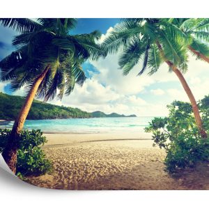 Papier Peint Palmiers Aux Seychelles – Image 2