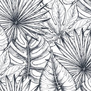 Papier Peint Feuilles De Monstera – Image 1