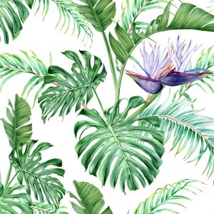 Papier Peint Feuilles De Monstera – Image 1