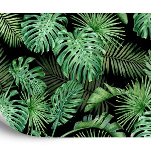 Papier Peint Feuilles De Monstera – Image 2