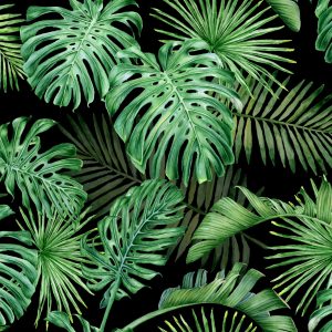 Papier Peint Feuilles De Monstera – Image 1