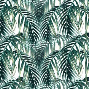 Papier Peint Feuilles De Palmier – Image 1