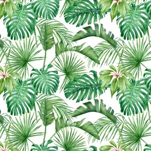 Papier Peint Feuilles De Monstera – Image 1