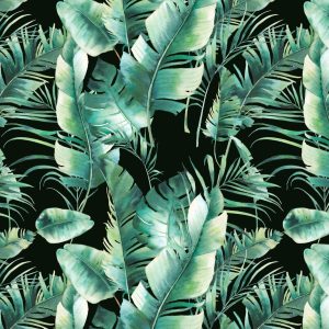 Papier Peint Feuilles Tropicales – Image 1