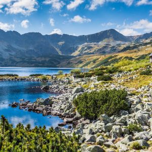 Papier Peint Lac De Montagne Dans La Vallée – Image 1