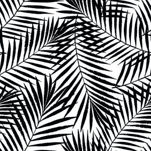 Papier Peint Feuilles De Palmier – Image 1