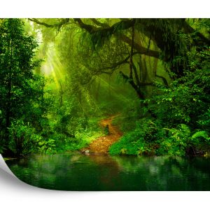 FT-448488-FALL – Image 2