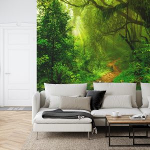 FT-448488-FALL – Image 6