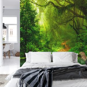 FT-448488-FALL – Image 8