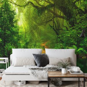 FT-448488-FALL – Image 3