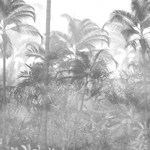 Papier Peint Tropical Trees And Leaves In Foggy Forest Wallpaper Design - 3D – Image 1