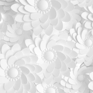 Papier Peint Beautiful, Elegant Paper Flower In The Style Of Hand-Made On A White Wall. 3D , 3D Rendering. – Image 1