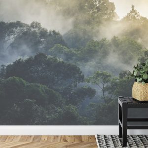 Papier Peint Landscape Of Asia Tropical Rainforest, Canopy Tree Of Jungle Green Forest Park Outdoor, Nature Environment Mountain View, Concept Of Freedom Relaxation In Holiday For Spa Yoga And Retreat – Image 7