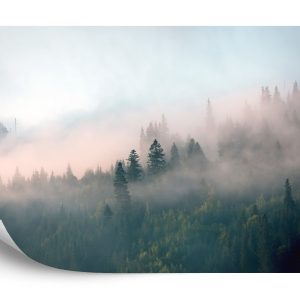 Papier Peint Forêt Dans Le Brouillard – Image 2