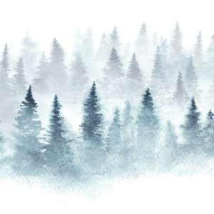 Papier Peint Forêt Dans Le Brouillard – Image 1
