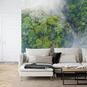 Papier Peint Forêt Dans Le Brouillard – Image 6