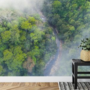 Papier Peint Forêt Dans Le Brouillard – Image 7