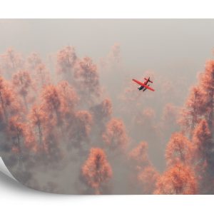 Papier Peint Forêt Dans Le Brouillard – Image 2