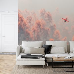 Papier Peint Forêt Dans Le Brouillard – Image 6