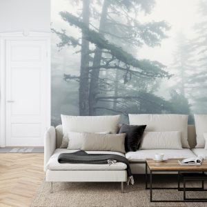 Papier Peint Forêt Dans Le Brouillard – Image 6