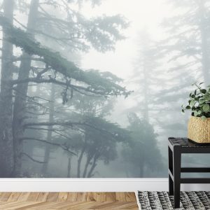 Papier Peint Forêt Dans Le Brouillard – Image 7