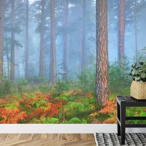 Papier Peint Forêt Dans Le Brouillard – Image 7