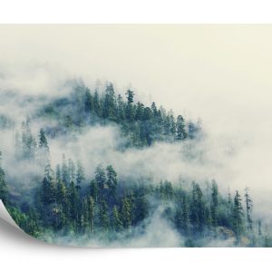 Papier Peint Forêt Dans Le Brouillard – Image 2