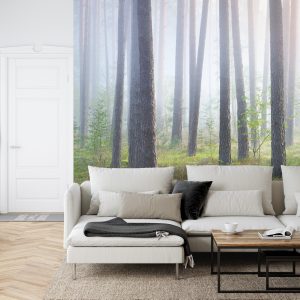 Papier Peint Forêt Dans Le Brouillard – Image 6