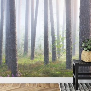 Papier Peint Forêt Dans Le Brouillard – Image 7