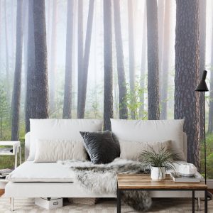 Papier Peint Forêt Dans Le Brouillard – Image 3