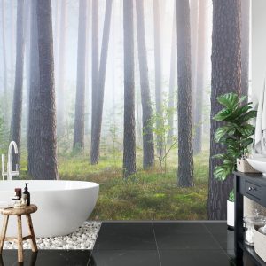 Papier Peint Forêt Dans Le Brouillard – Image 5