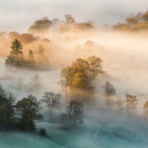 Papier Peint Forêt Dans Le Brouillard – Image 1