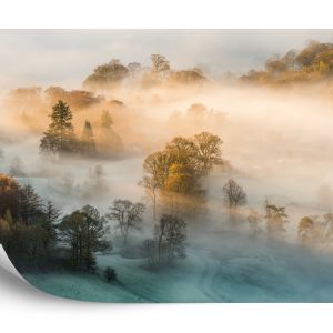 Papier Peint Forêt Dans Le Brouillard – Image 2