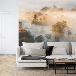 Papier Peint Forêt Dans Le Brouillard – Image 6