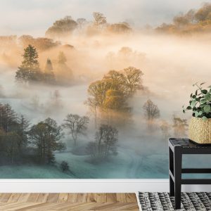 Papier Peint Forêt Dans Le Brouillard – Image 7