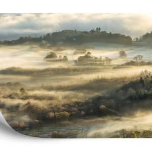 Papier Peint Forêt Dans Le Brouillard – Image 2