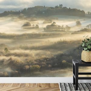 Papier Peint Forêt Dans Le Brouillard – Image 7