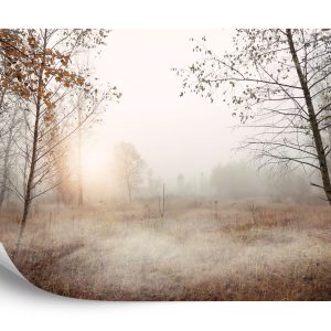 Papier Peint Forêt Dans Le Brouillard – Image 2