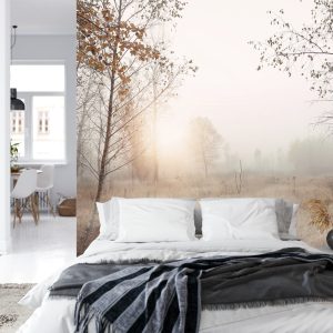 Papier Peint Forêt Dans Le Brouillard – Image 8