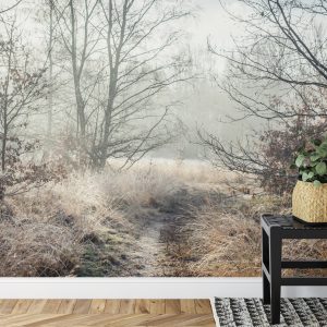 Papier Peint Forêt Dans Le Brouillard – Image 7