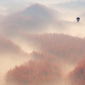 Papier Peint Forêt Dans Le Brouillard – Image 1