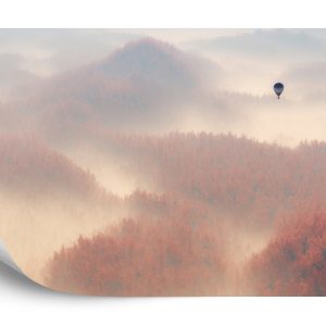 Papier Peint Forêt Dans Le Brouillard – Image 2