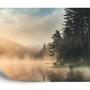 Papier Peint Forêt Dans Le Brouillard – Image 2