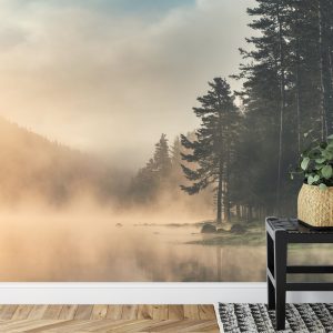 Papier Peint Forêt Dans Le Brouillard – Image 7